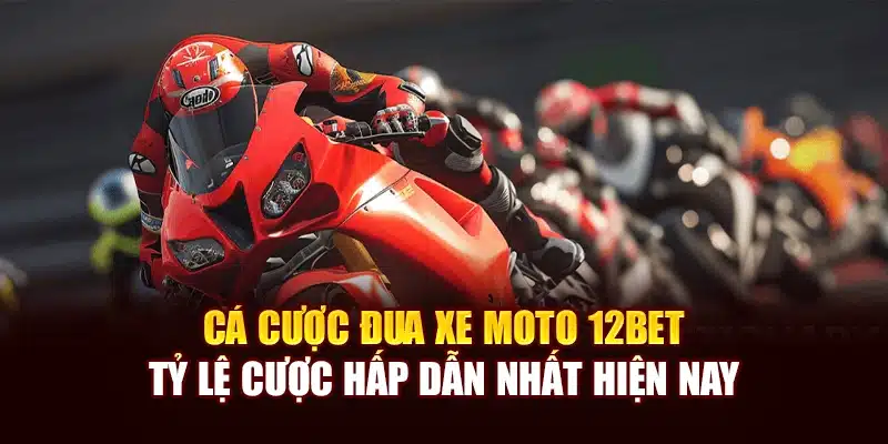 Cá Cược Đua Xe Moto 12bet - Tỷ Lệ Cược Hấp Dẫn Nhất Hiện Nay