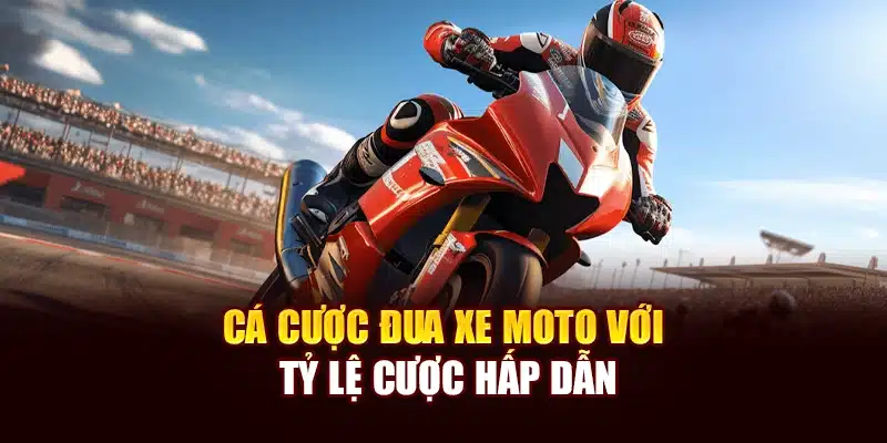 Cá cược đua xe moto với tỷ lệ cược hấp dẫn