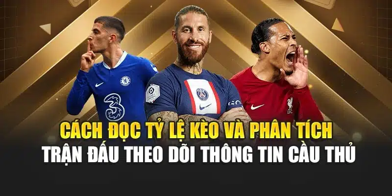 Cách đọc tỷ lệ kèo và phân tích trận đấu theo dõi thông tin cầu thủ