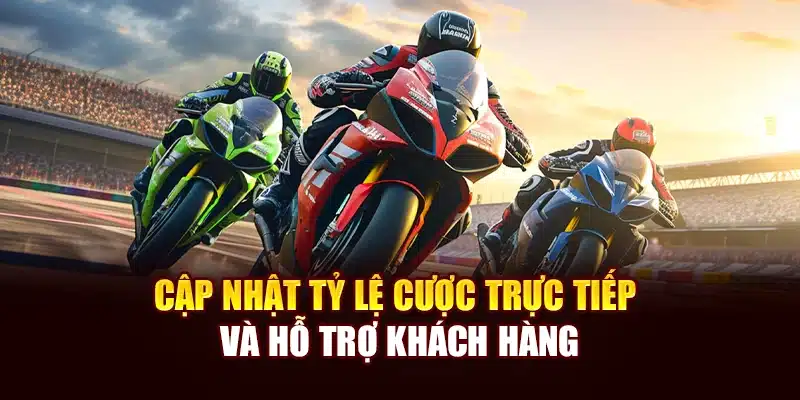 Cập nhật tỷ lệ cược trực tiếp và hỗ trợ khách hàng