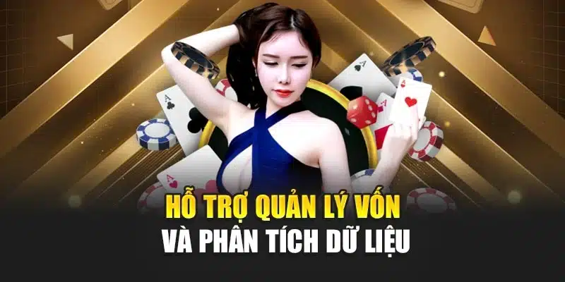 Hỗ trợ quản lý vốn và phân tích dữ liệu