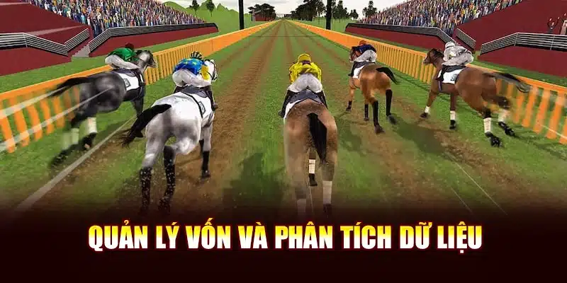 Quản lý vốn và phân tích dữ liệu