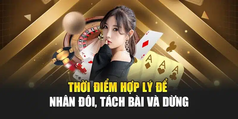 Thời điểm hợp lý để nhân đôi, tách bài và dừng