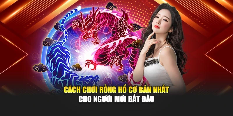 Cách chơi rồng hổ cơ bản nhất cho người mới bắt đầu