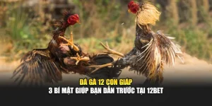 Đá Gà 12 Con Giáp - 3 Bí Mật Giúp Bạn Dẫn Trước Tại 12bet