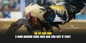 Đá Gà Cựa Dao - 3 Kinh Nghiệm Cược Hiệu Quả Cần Biết Ở 12bet