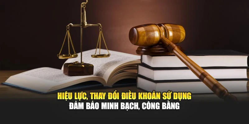 Hiệu lực, thay đổi điều khoản sử dụng đảm bảo minh bạch, công bằng
