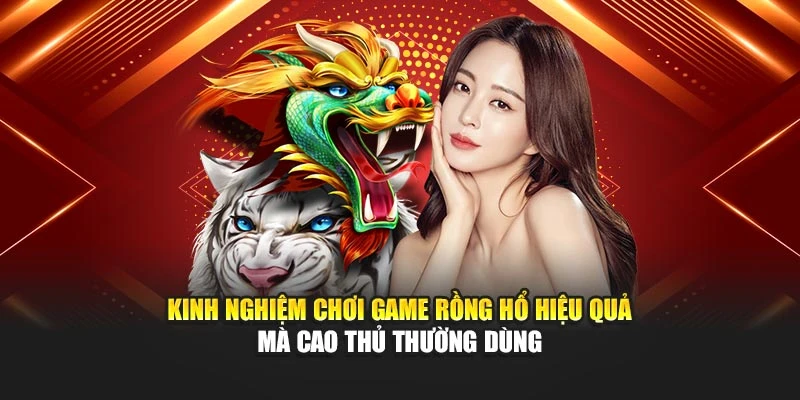 Kinh nghiệm chơi game rồng hổ hiệu quả mà cao thủ thường dùng