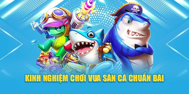 Kinh nghiệm chơi vua săn cá chuẩn bài