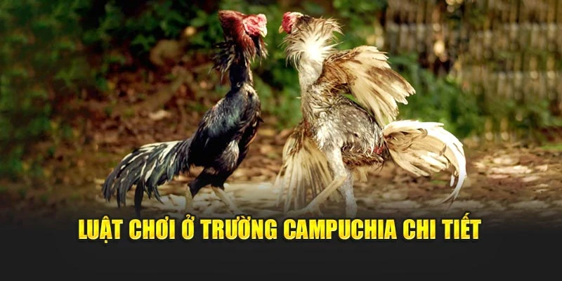 Luật chơi ở trường Campuchia chi tiết