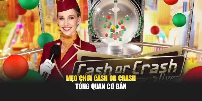 Mẹo chơi Cash or Crash tổng quan cơ bản