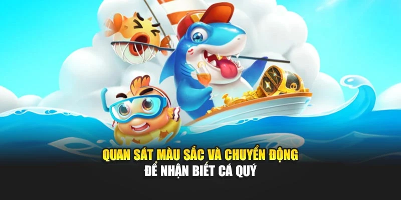 quan sát màu sắc và chuyển động để nhận biết cá quý