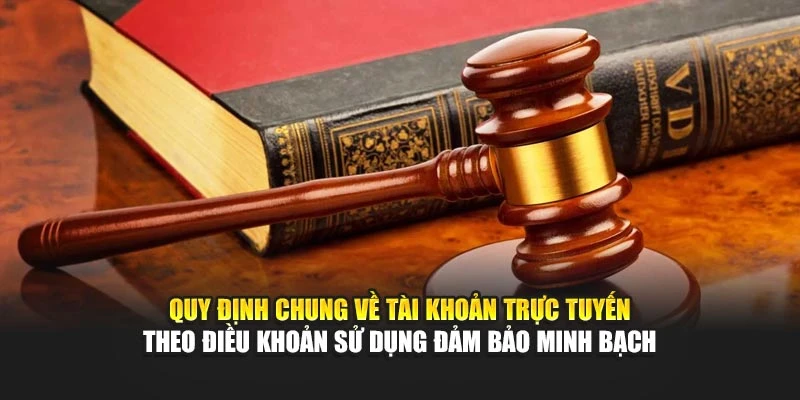 Quy định chung về tài khoản trực tuyến theo điều khoản sử dụng đảm bảo minh bạch