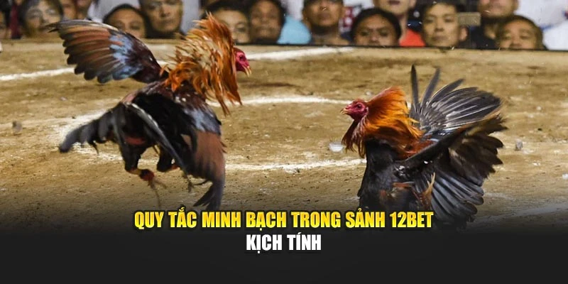Quy tắc minh bạch trong sảnh 12bet kịch tính