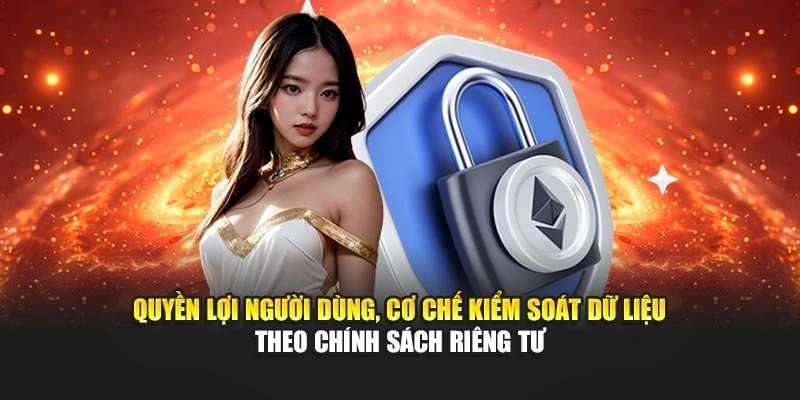 Quyền lợi người dùng, cơ chế kiểm soát dữ liệu theo chính sách riêng tư