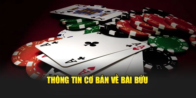 Thông tin cơ bản về bài bửu