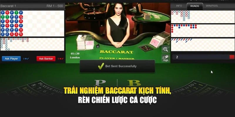 Trải nghiệm Baccarat kịch tính, rèn chiến lược cá cược