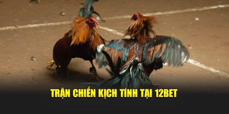 Trận chiến kịch tính tại 12bet