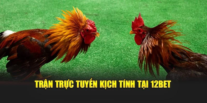 Trận trực tuyến kịch tính tại 12bet